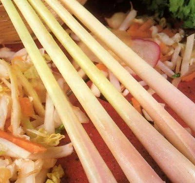 Lemon Grass Seeds – 50 Cymbopogon Herb Seeds – Perennial for Culinary & Medicinal Use - Image 2