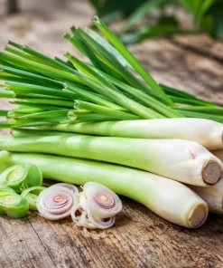 Lemongrass Live Plant - 2 Pack, 4-6 Inch Tall, Fragrant Herb for Indoor & Outdoor - Image 6