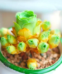 Lithops Living Stones Flower Succulent Cactus Seeds - Rare Varieties - Image 1