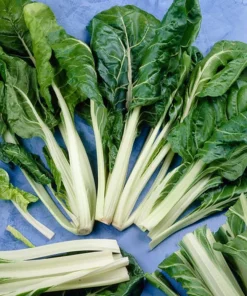 Lucullus Swiss Chard Seeds - 100 Seeds - Heirloom Vegetable for Garden - Image 1