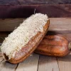 Luffa Sponge Gourd Seeds - 25 Seeds, Luffa Cylindrica, Edible & Bath Sponge Loofah - Image 1