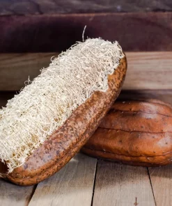 Luffa Sponge Gourd Seeds - 25 Seeds, Luffa Cylindrica, Edible & Bath Sponge Loofah - Image 1