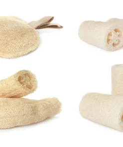 Luffa Sponge Gourd Seeds - 25 Seeds, Luffa Cylindrica, Edible & Bath Sponge Loofah - Image 7