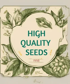 Madagascar Hibiscus Moscheutos Mallow Live Plant Starter - Malvaceae Perennial - Image 2