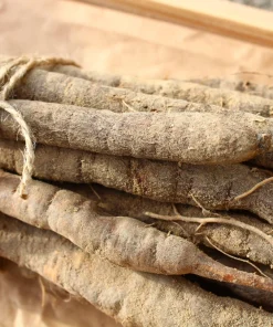 Mammoth Sandwich Island Salsify Seeds - 50 Count White Root Vegetable - Image 2