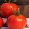 Marglobe Tomato Seeds - Heirloom, Determinate, Fusarium Resistant - 50 Seeds - Image 1
