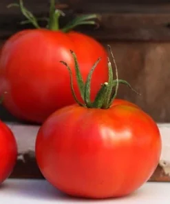Marglobe Tomato Seeds - Heirloom, Determinate, Fusarium Resistant - 50 Seeds - Image 1