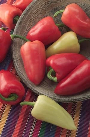 Mariachi Pepper Seeds - 10 Count - Mildly Hot & Flavorful - Image 1