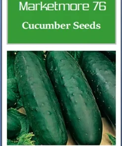 Marketmore 76 Cucumber Seeds - Non-GMO Heirloom Vegetable Seeds for Outdoor Gardens - Image 2