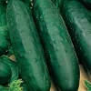 Marketmore 76 Cucumber Seeds - Non-GMO Heirloom Vegetable Seeds for Outdoor Gardens - Image 1
