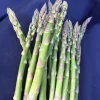 Mary Washington Asparagus Crowns - 20 Two-Year-Old Heirloom Perennial Vegetable - Image 1