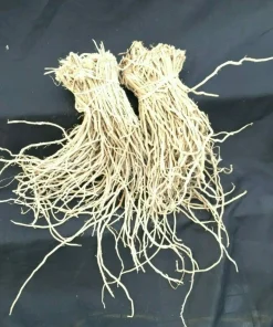 Mary Washington Asparagus Crowns - 20 Two-Year-Old Heirloom Perennial Vegetable - Image 2