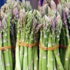 Mary Washington Asparagus Seeds – 100 Count – Vegetable Seeds for Garden - Image 1