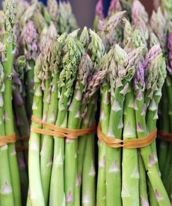 Mary Washington Asparagus Seeds – 100 Count – Vegetable Seeds for Garden - Image 1