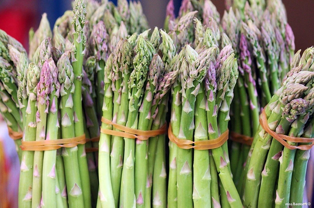Mary Washington Asparagus Seeds – 100 Count – Vegetable Seeds for Garden - Image 1