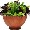 Mediterranean Alfresco Salad Mix Seeds - 10 Pellets, Lettuces, Arugula, Endive, Radicchio, 35 Days to Harvest - Image 1