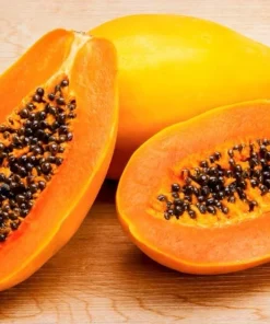 Mexico Papaya Tree Live Plant – 1 Gallon Pot – Tropical Fruit - Image 4