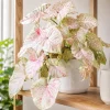 Milk Confetti Syngonium Live Plant - Pink Variegated Arrowhead Plant in 4 Inch Pot - Image 1