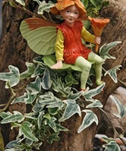 Mini English Ivy Live Plant – 2.5" Pot – Terrarium Fairy Garden Houseplant - Image 2