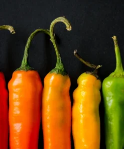 Mixed Cayenne Pepper Seeds - 100 Count Hot Vegetable Seeds for Planting - Image 3