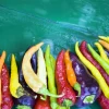 Mixed Cayenne Pepper Seeds - 100 Count Hot Vegetable Seeds for Planting - Image 1