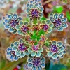 Mother of Millions Seeds (Kalanchoe tubiflora) - Drought Tolerant Succulent - 25 Seeds - Image 1