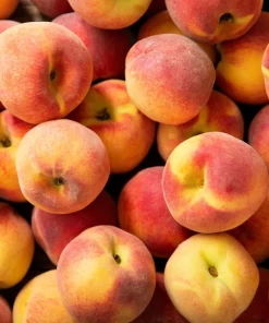Nemaguard Peach Tree Seeds - Prunus Persica Fruit Pink Flower, 3 Seeds - Image 9