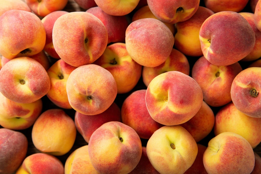 Nemaguard Peach Tree Seeds - Prunus Persica Fruit Pink Flower, 3 Seeds - Image 9