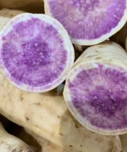 Okinawa & Radiosa Sweet Potato Slips - 10 Live Plants for Gardening - Image 6