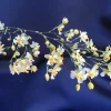 Oncidium Twinkle 'Fantasy' Miniature Orchid Live Plant – Fragrant, 2.5" Pot - Image 1