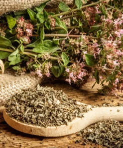 Oregano Seeds, 500 Count - Origanum Vulgare Herb Seeds for Garden - Image 4