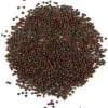 Organic Brown Mustard Sprouting Seeds - 2 Grams for Healthy Microgreens - Image 1