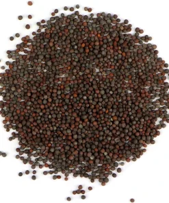 Organic Brown Mustard Sprouting Seeds - 2 Grams for Healthy Microgreens - Image 1