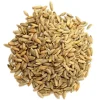 Organic Cat Grass Seeds Mix - Wheat, Barley, Oats & Rye - Easy Grow Pet Treat - Annual Grain Seed - Image 1