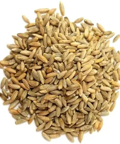 Organic Cat Grass Seeds Mix - Wheat, Barley, Oats & Rye - Easy Grow Pet Treat - Annual Grain Seed - Image 1