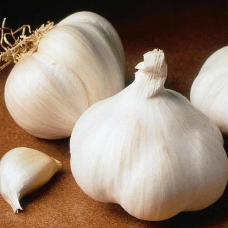 Organic Garlic Bulbs Mix - 12 oz Multi-Variety Selection for Planting & Eating - Image 2