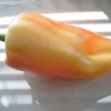 Organic Giant Szegedi Pepper Seeds - Hungarian Sweet Paprika, 25 Seeds - Image 1
