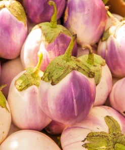 Organic Italian Eggplant Rosa Bianca Seeds - 50 Count - White & Purple Heirloom Vegetable - Image 2