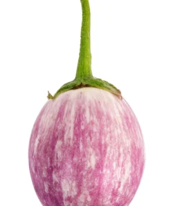 Organic Italian Eggplant Rosa Bianca Seeds - 50 Count - White & Purple Heirloom Vegetable - Image 3