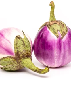 Organic Italian Eggplant Rosa Bianca Seeds - 50 Count - White & Purple Heirloom Vegetable - Image 6