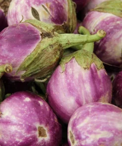 Organic Italian Eggplant Rosa Bianca Seeds - 50 Count - White & Purple Heirloom Vegetable - Image 7