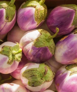 Organic Italian Eggplant Rosa Bianca Seeds - 50 Count - White & Purple Heirloom Vegetable - Image 8