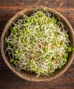Organic Sprouting Mix Seeds - Peas, Mung & Adzuki Bean, Lentils for Sprouting - Image 3