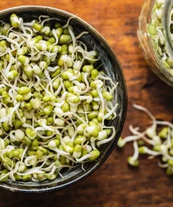 Organic Sprouting Mix Seeds - Peas, Mung & Adzuki Bean, Lentils for Sprouting - Image 6