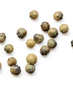 Organic Sprouting Mix Seeds - Peas, Mung & Adzuki Bean, Lentils for Sprouting - Image 9