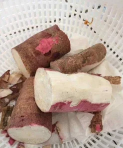 Organic Sweet Cassava Red Yuca Cuttings - 5 Pack, Manihot Esculenta, 7 in - Image 3