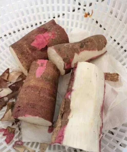Organic Sweet Cassava Red Yuca Cuttings - 5 Pack, Manihot Esculenta, 7 in - Image 4
