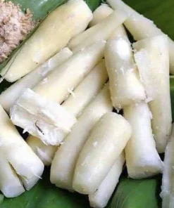 Organic Sweet Cassava Red Yuca Cuttings - 5 Pack, Manihot Esculenta, 7 in - Image 5