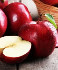 Paradise Apple Tree Seeds - Malus Pumila Domestica - 25 Seeds for Planting - Image 4