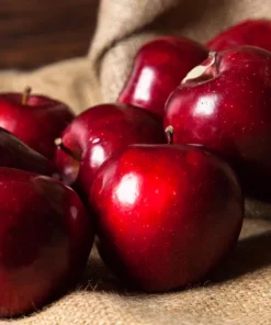 Paradise Apple Tree Seeds - Malus Pumila Domestica - 25 Seeds for Planting - Image 7